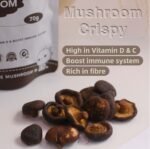 [70G] Mushroom Crisp - Image 5