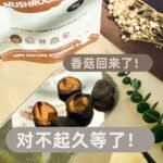 [70G] Mushroom Crisp
