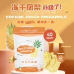 [40G] Freeze Dried Pineapple