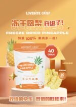 [40G] Freeze Dried Pineapple